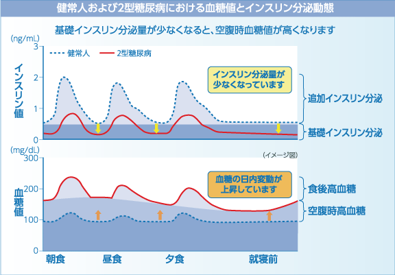 健常人および2型糖尿病における血糖値とインスリン分泌動態1