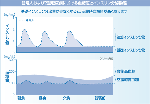 健常人および2型糖尿病における血糖値とインスリン分泌動態1