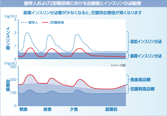 健常人および2型糖尿病における血糖値とインスリン分泌動態1