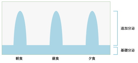 インスリン追加分泌による血糖値の調整イメージ